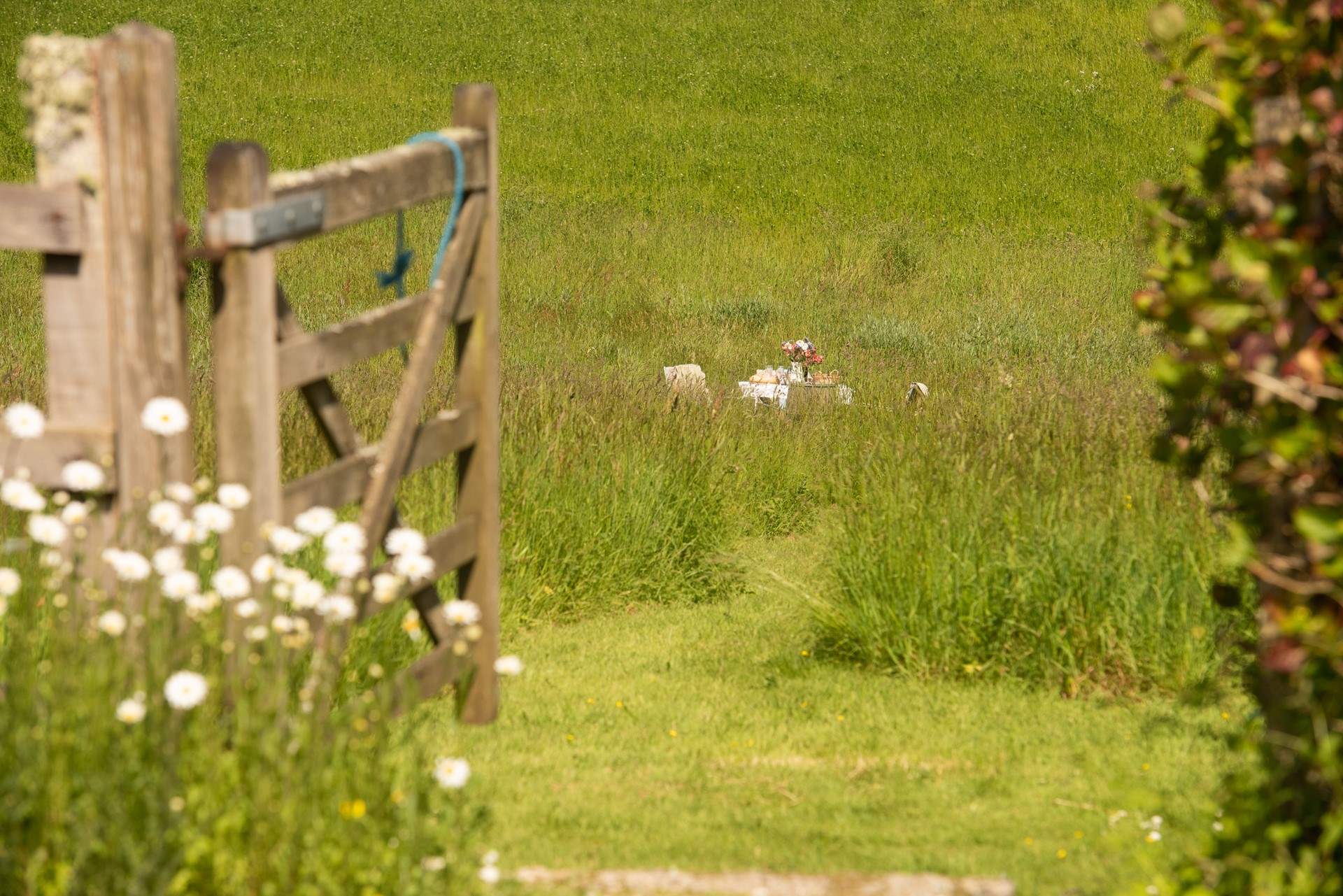 The glorious meadow.