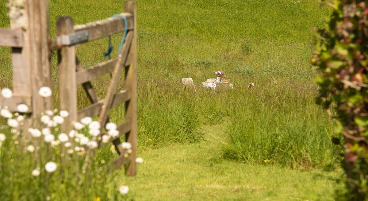 The glorious meadow.