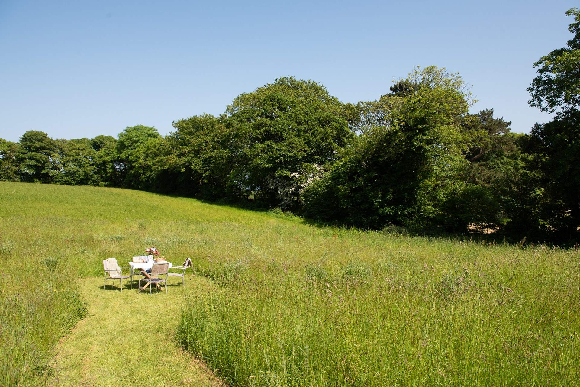 Enjoy all the space on offer winding through the paths in the meadow which is shared with Orchard Cottage.  