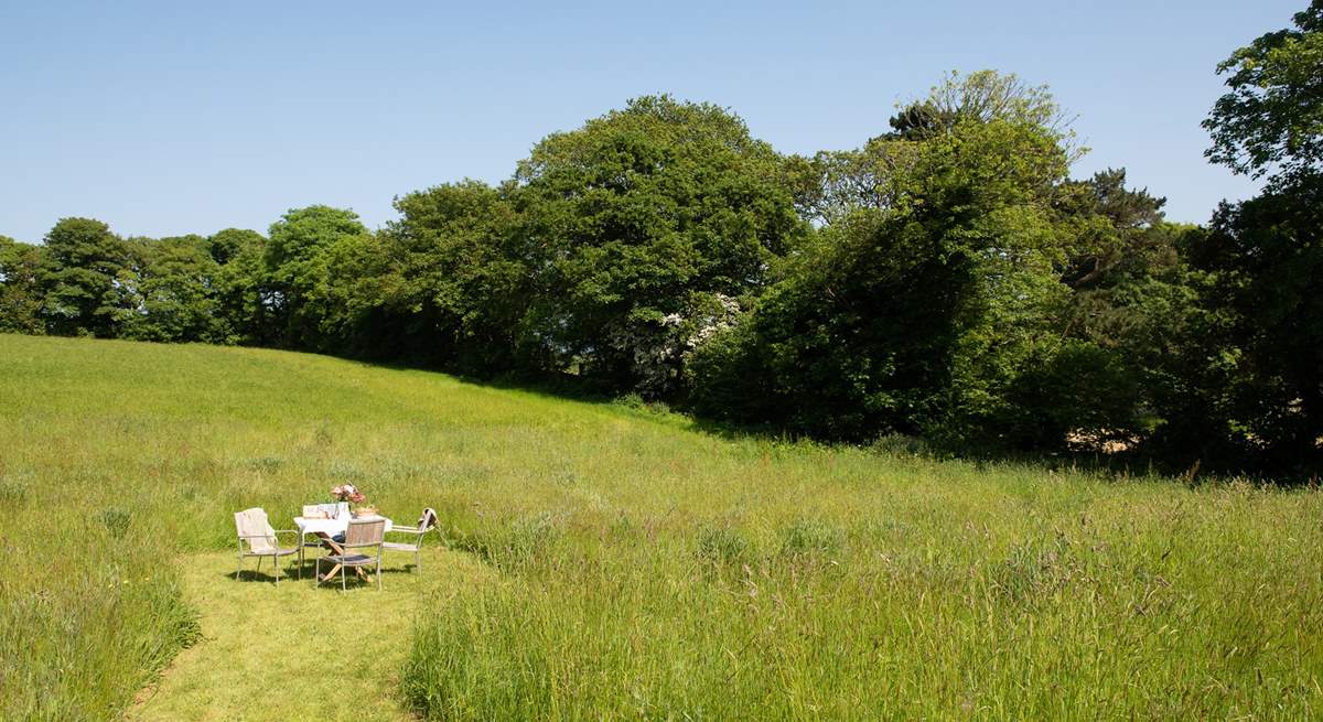 Enjoy all the space on offer winding through the paths in the meadow which is shared with Orchard Cottage.  