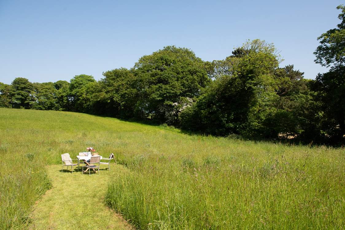 Enjoy all the space on offer winding through the paths in the meadow which is shared with Orchard Cottage.