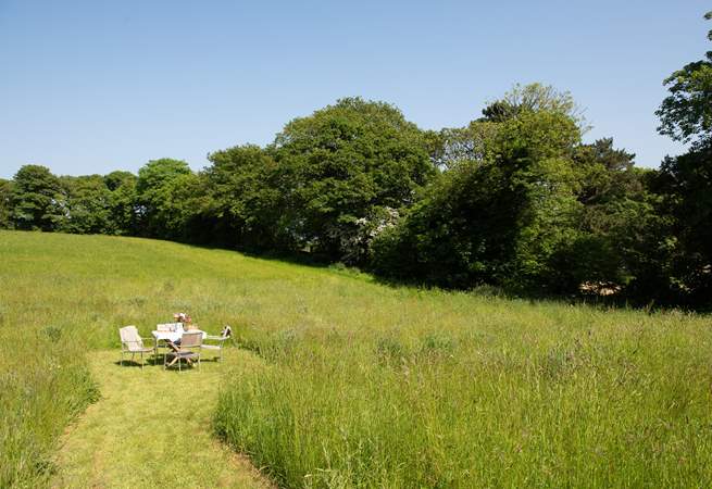 Enjoy all the space on offer winding through the paths in the meadow which is shared with Orchard Cottage.  