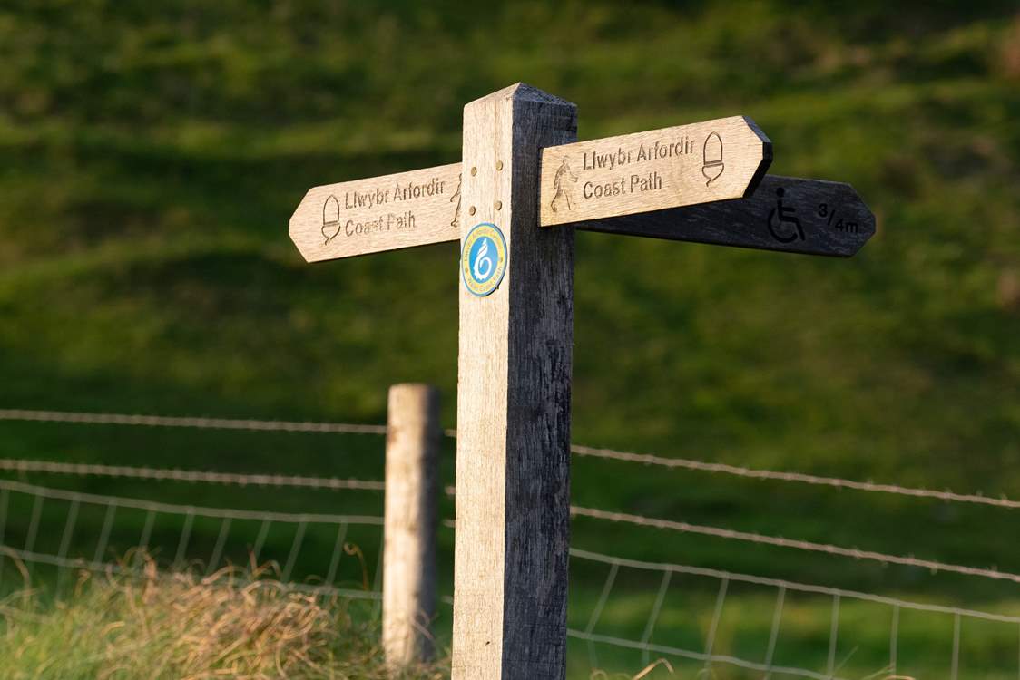 Walkers will delight in the Pembrokeshire coast path.