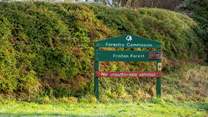 Explore Friston Forest, it has something for everyone including great views of the Cuckmere and South Downs.