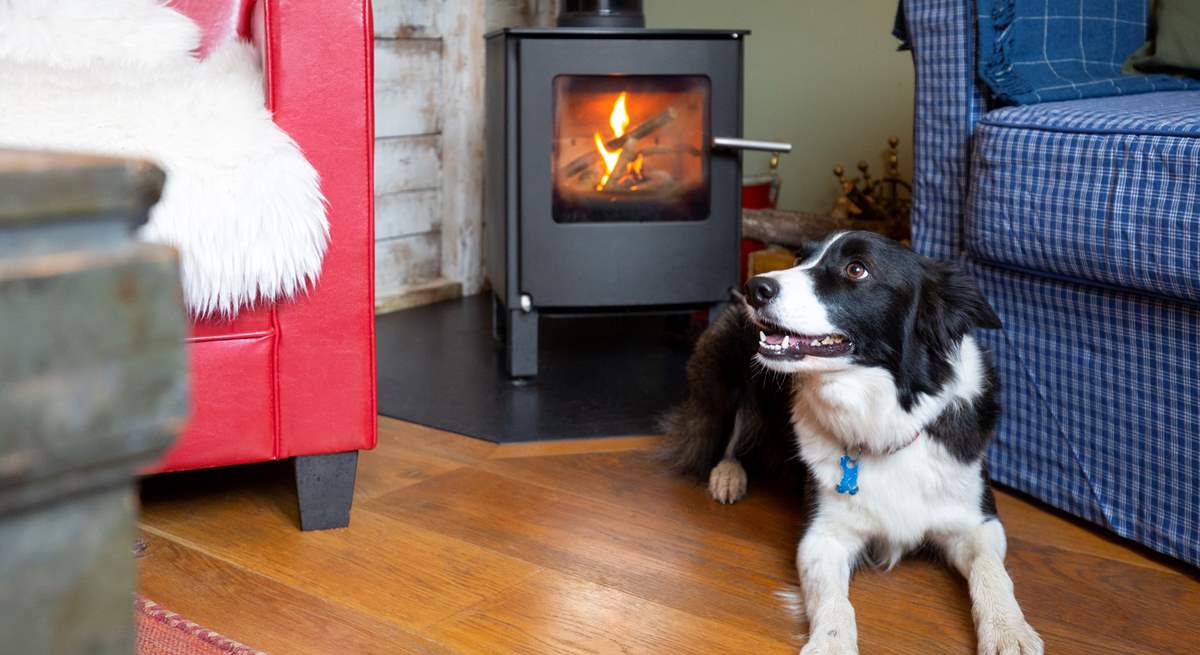 Dogs love holidays too, especially in a barn like this with some great walks.