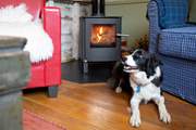 Dogs love holidays too, especially in a barn like this with some great walks.