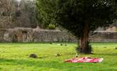 The paddock is a nice spot for children to play, a picnic or simply reading a book. - Thumbnail Image