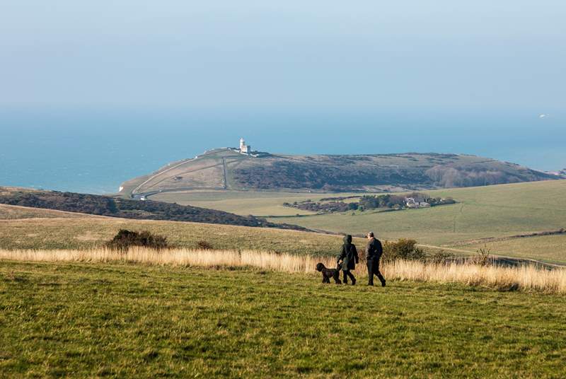 So many magical walks to enjoy on the South Downs National Park.