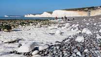 Birling Gap with a view of Seven Sisters in the distance.