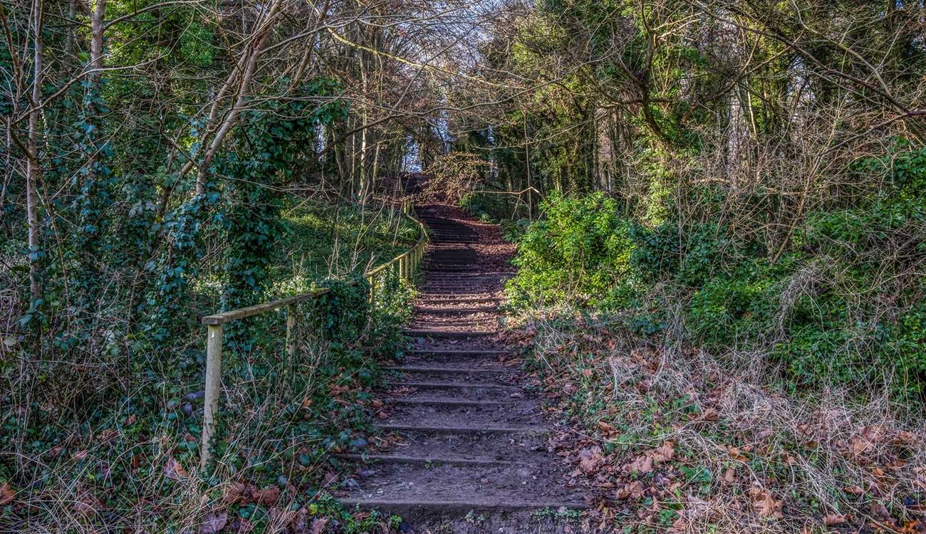 Lots of steps but the view is so worth it.