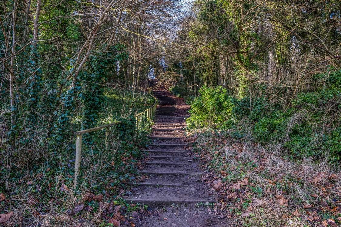 Lots of steps but the view is so worth it.
