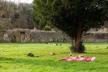 Or perhaps a picnic.