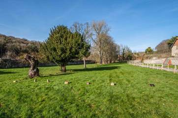 A paddock, useful if you wish to give your dog a quick walk.
