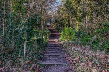 Climb the steps to a view worth waiting for.