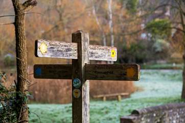 Explore the South Downs Way.