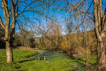 Sit by the pond in the village and look out for wildlife.
