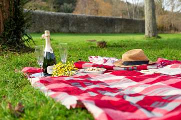 Picnic in the paddock.