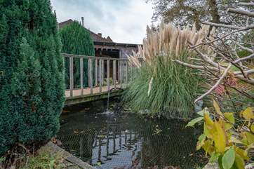 Stand on the small bridge and count the fish in the pond!