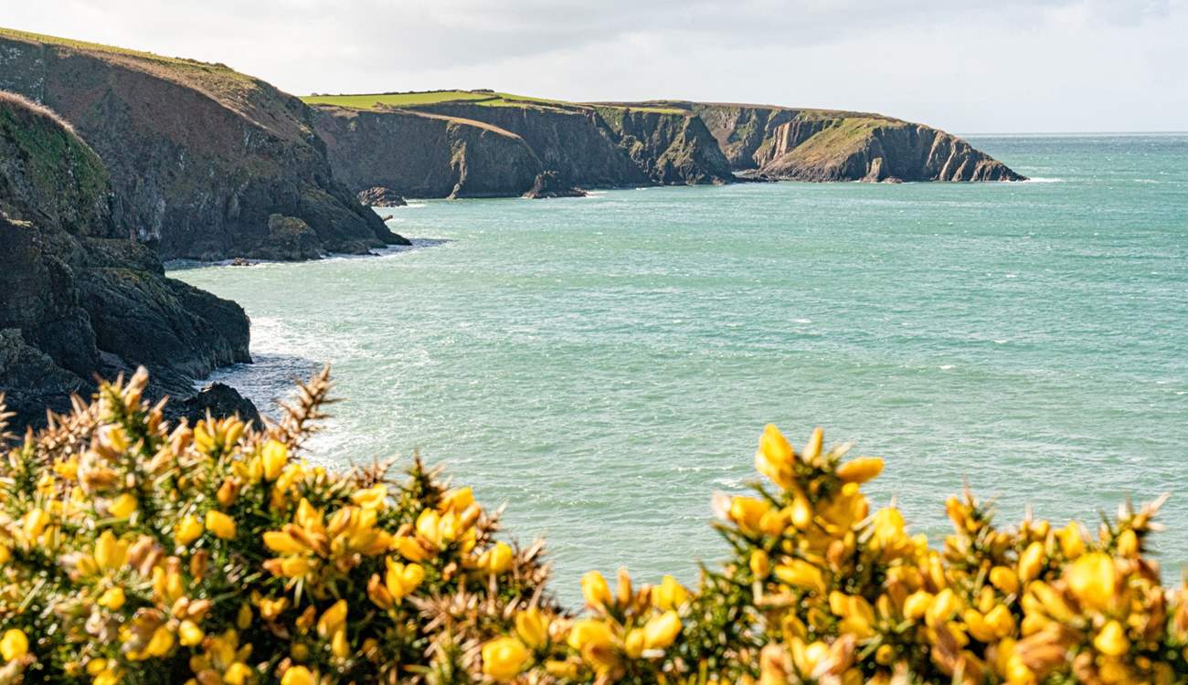 Aber Draw shows off a dramatic coastline.