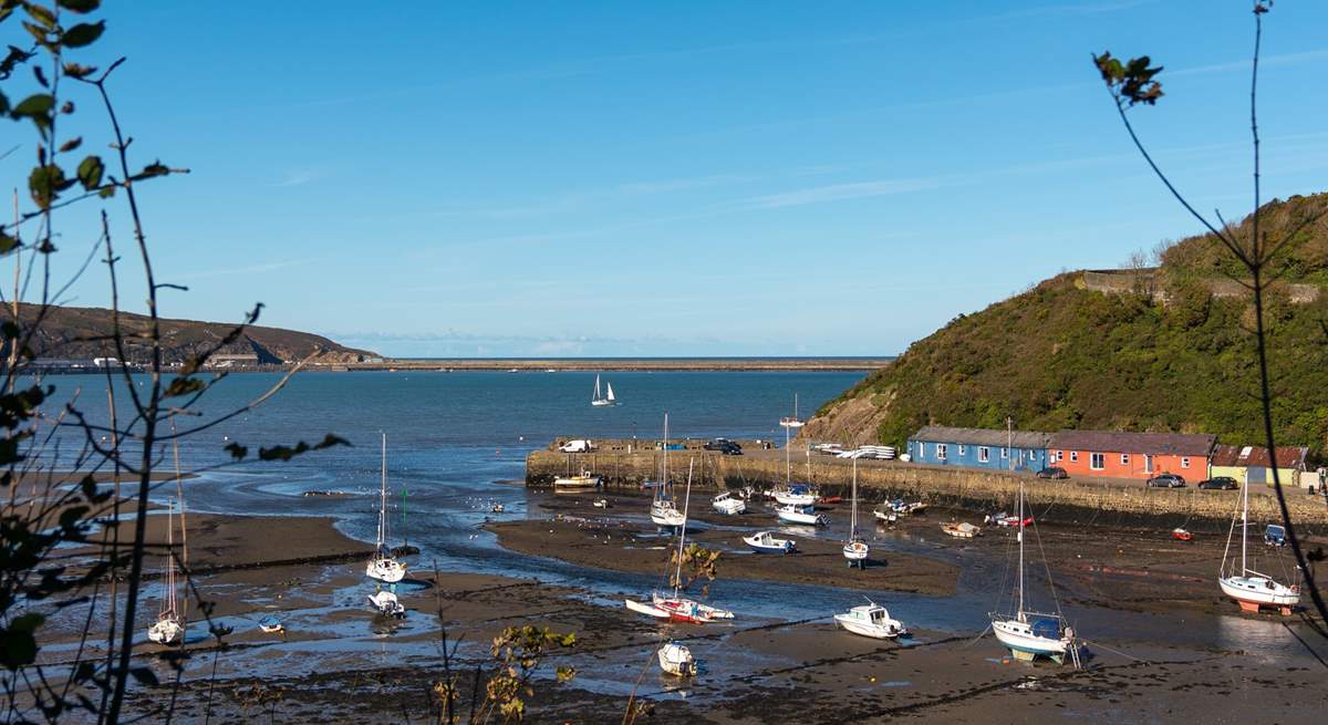 The town of Fishguard is a short drive away.