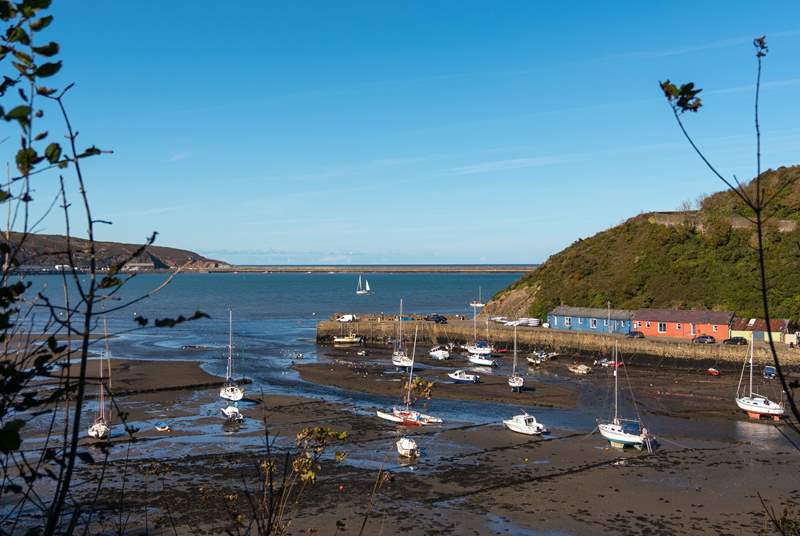 The town of Fishguard is a short drive away.