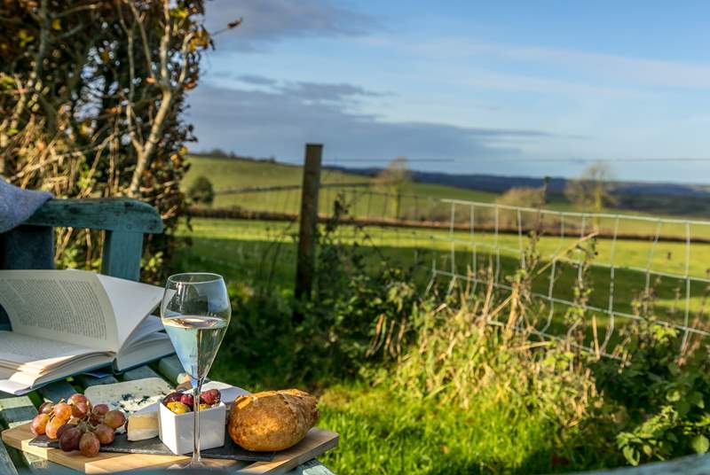 The Nest is surrounded by the rolling countryside of north Devon and you have your own grassed area to the front to soak up the views.