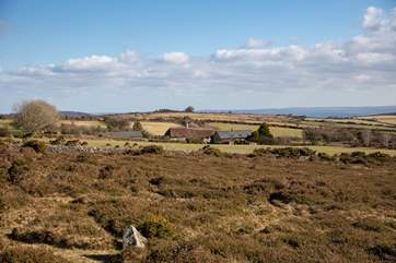 The magnificent Dartmoor.