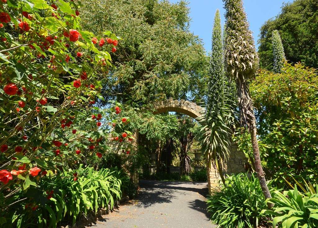 Admire the beautiful Ventnor Botanic Gardens.  