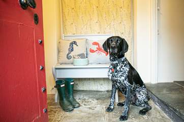 Your four-legged friend will love it here.