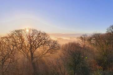 Captivating morning mist over Devon.