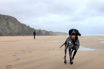 And there's oodles of space for a game of catch too!