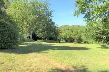 This pretty orchard is the perfect place to wander with your dog and listen to birdsong.