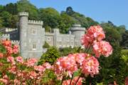 Caerhays Castle is beautiful in springtime.