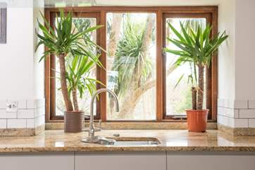The abundance of sub-tropical plants gives The Mews Manor a Mediterranean feel.