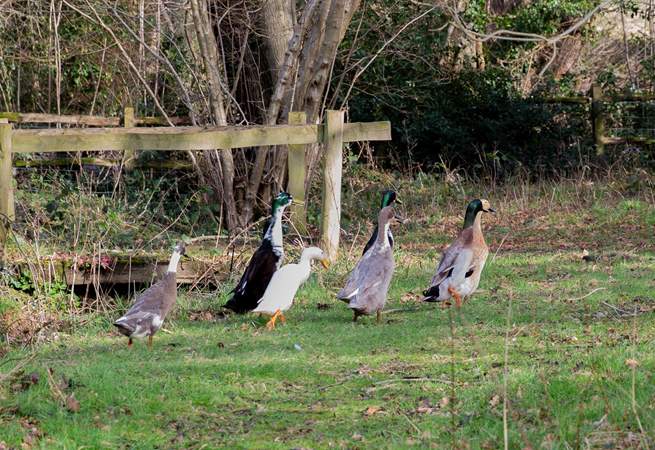 And the locals are very friendly!