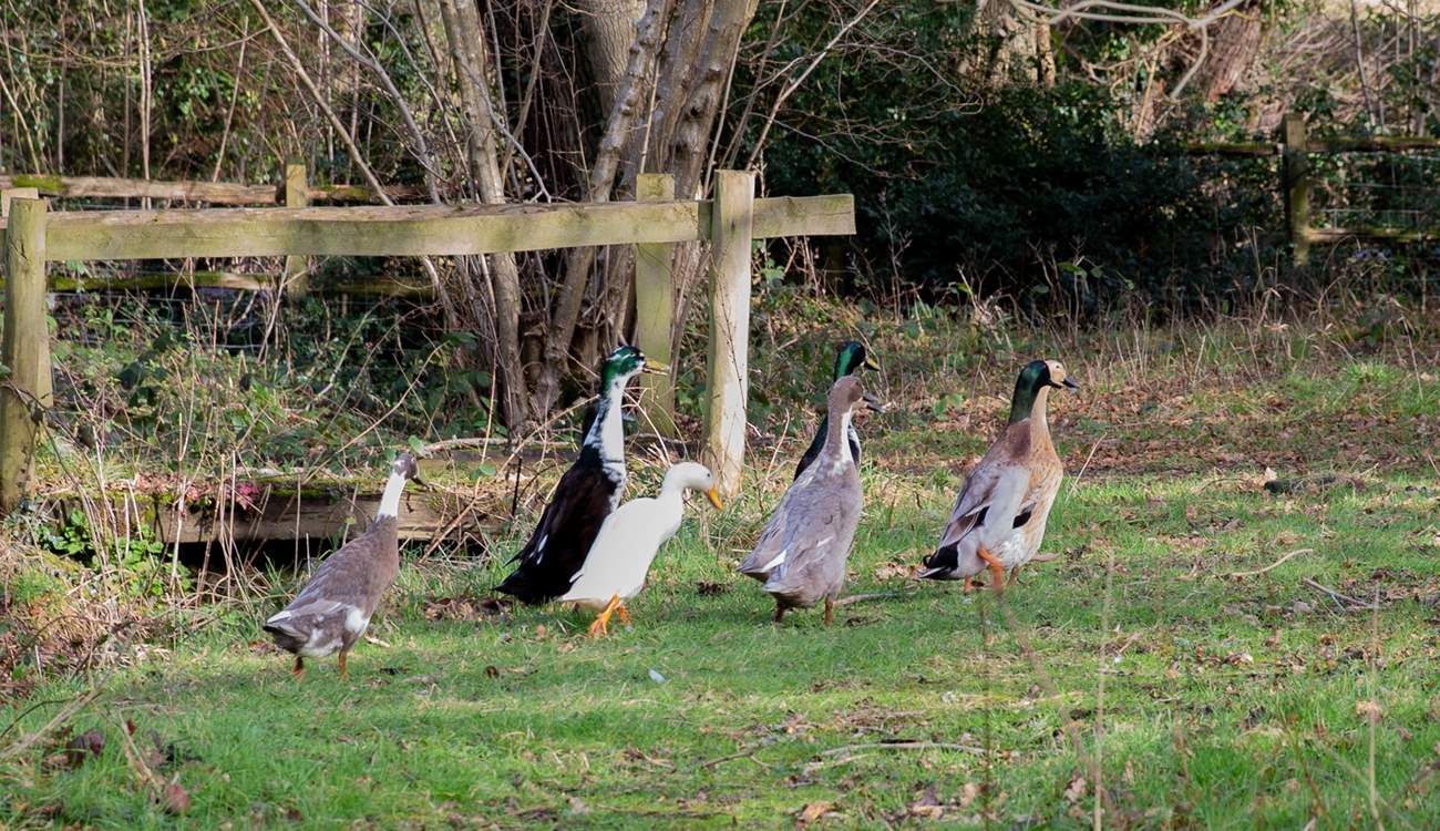 And the locals are very friendly!