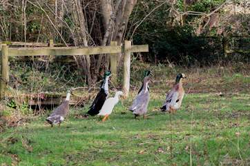 And the locals are very friendly!