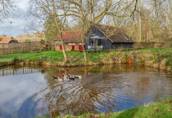 This gorgeous location will captivate you.