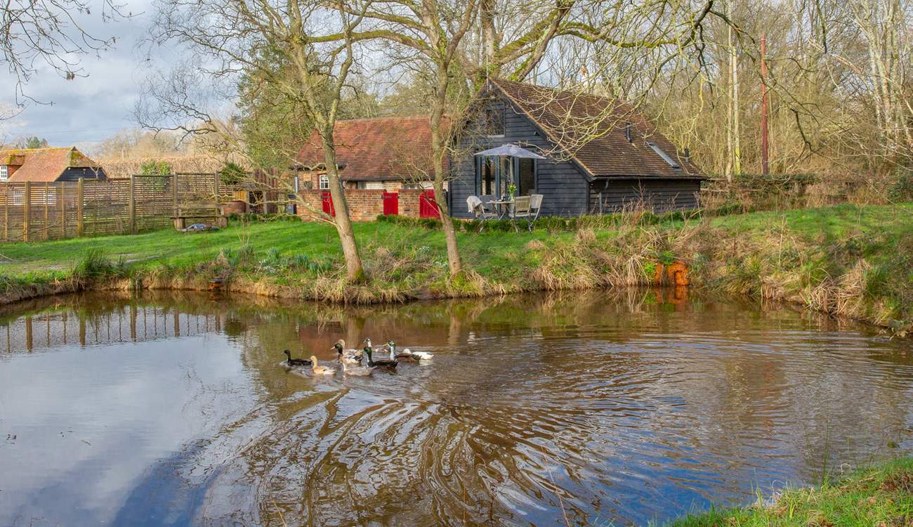 This gorgeous location will captivate you.