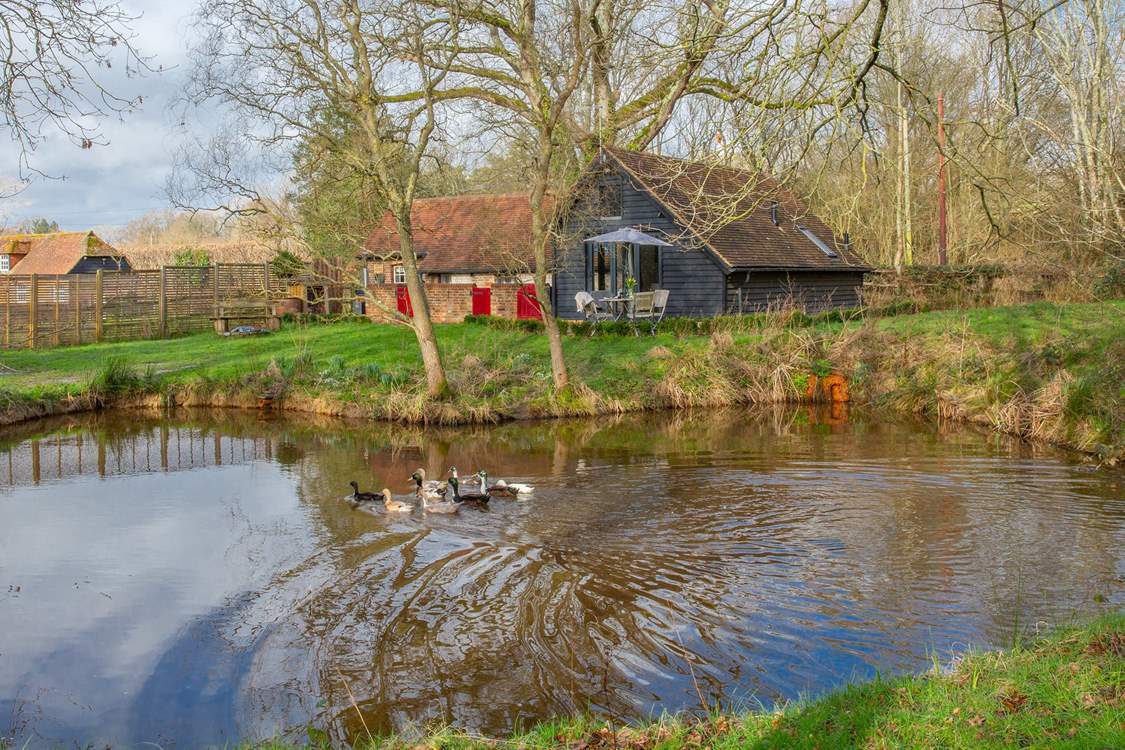 This gorgeous location will captivate you.