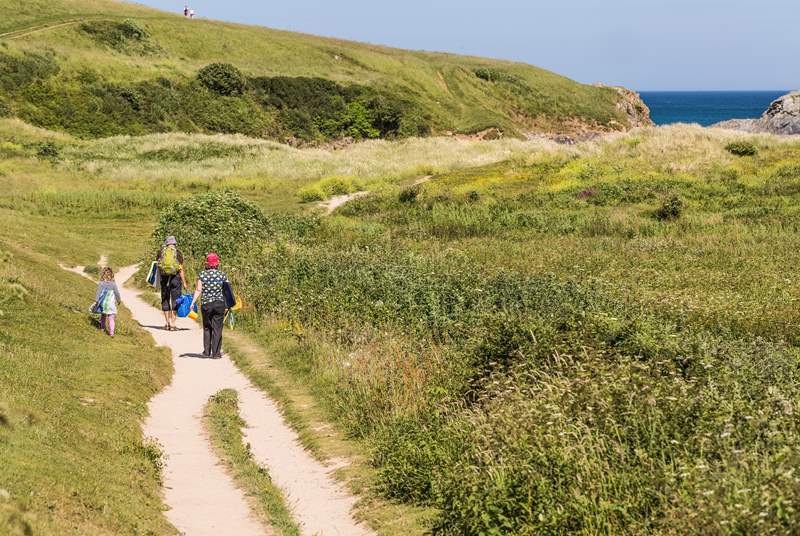 Walkers will enjoy miles of fabulous coast paths in north Cornwall.