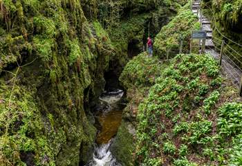 Iconic Lydford Gorge is a must see on holiday.