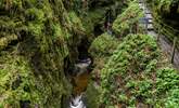 See the spectacular steep-sided valley at Lydford Gorge. - Thumbnail Image