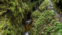 See the spectacular steep-sided valley at Lydford Gorge.