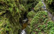 See the spectacular steep-sided valley at Lydford Gorge.