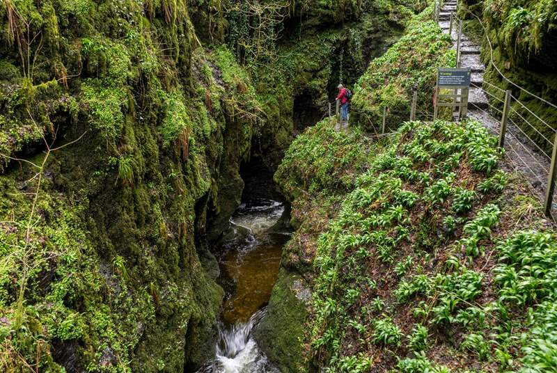 See the spectacular steep-sided valley at Lydford Gorge.