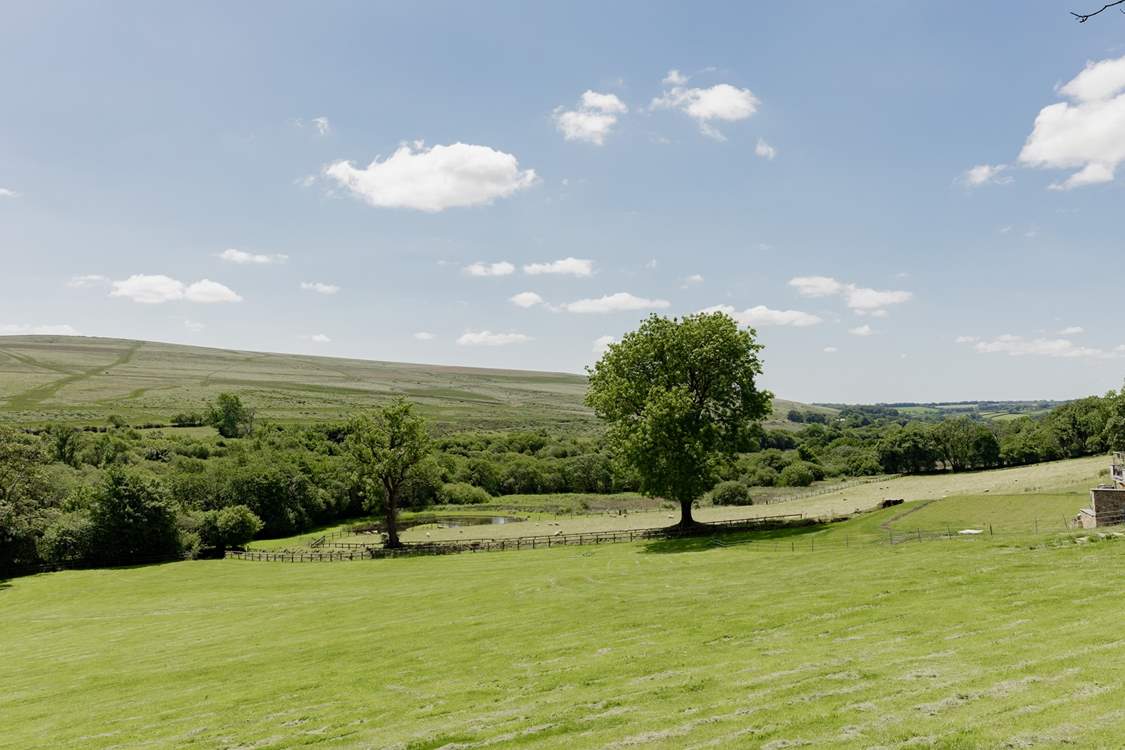 Incredible views beyond!