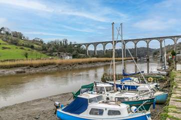 Wander along the riverside looking out for wildlife.