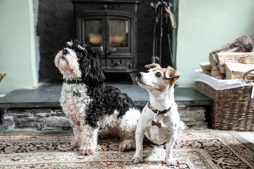Your four-legged friend will be most welcome here.
