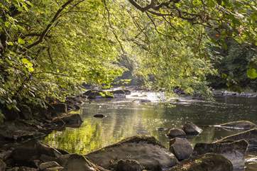 Pretty riverside walks are in abundance around Calstock.